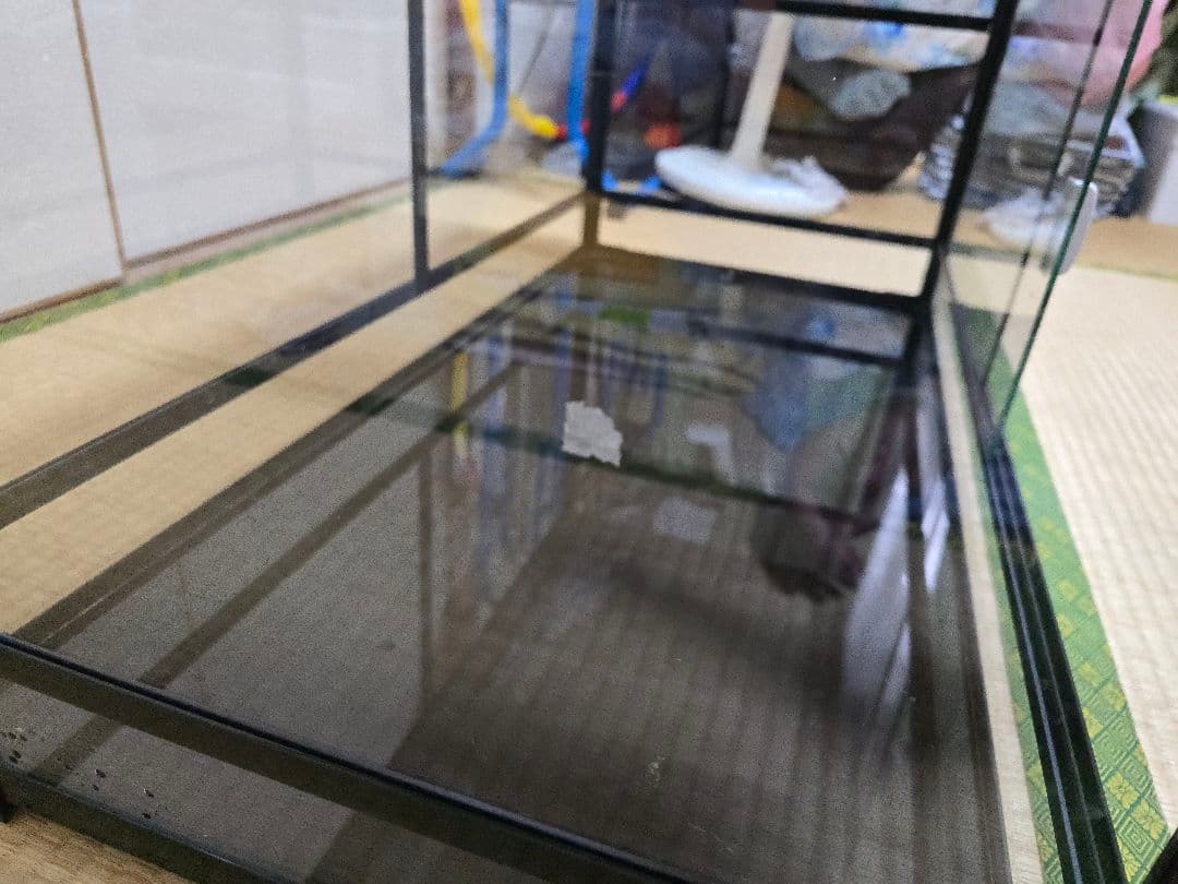パンテオン　9045 美品