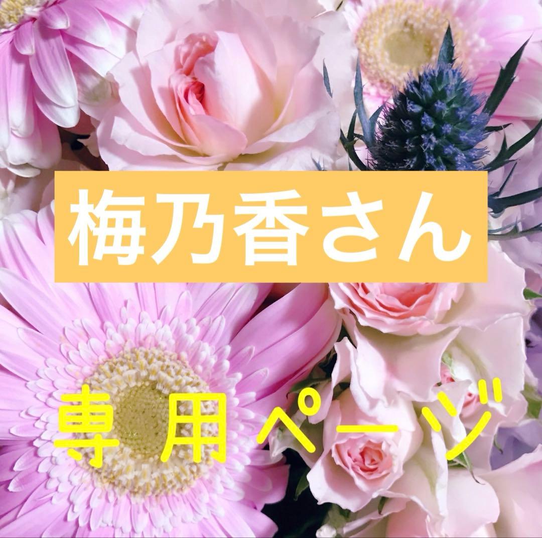 しのちゃん