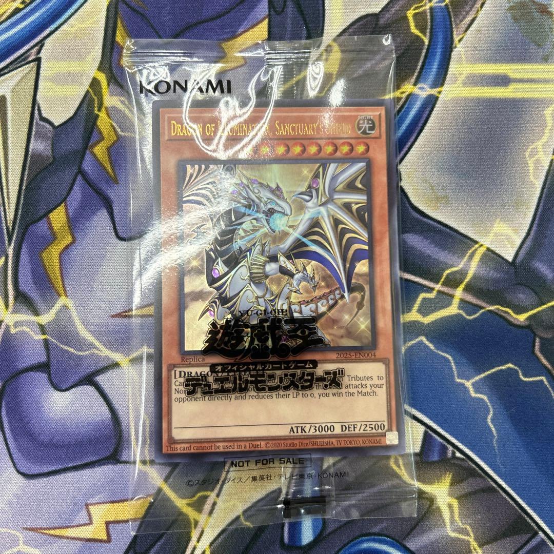 日本選手権　プロモ