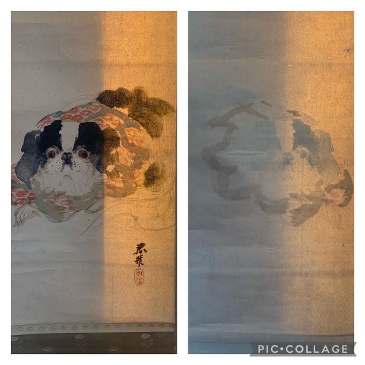 円山四条派　山元春挙　春挙　狆の図　犬絵　犬の絵　掛軸　日本画