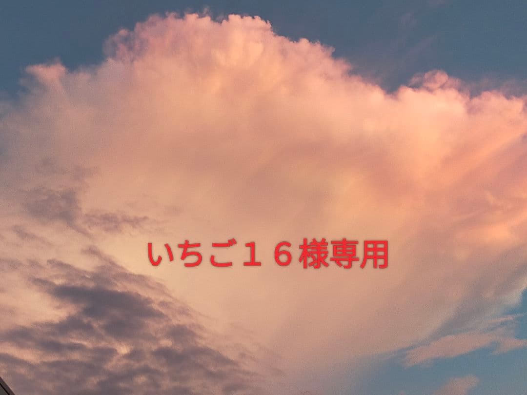 いちご１６