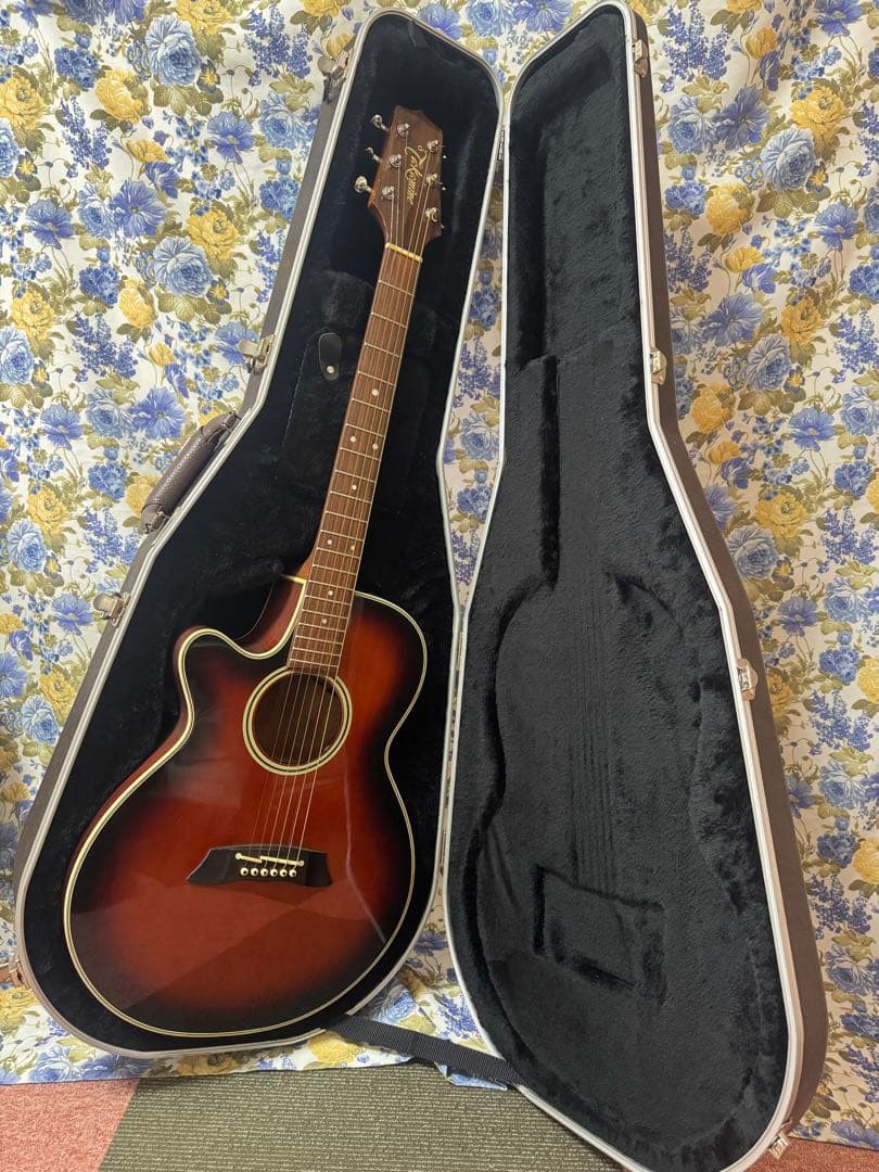 TakaminePT-106左利きコントローラーCT4BⅡ 純正ハードケース付き