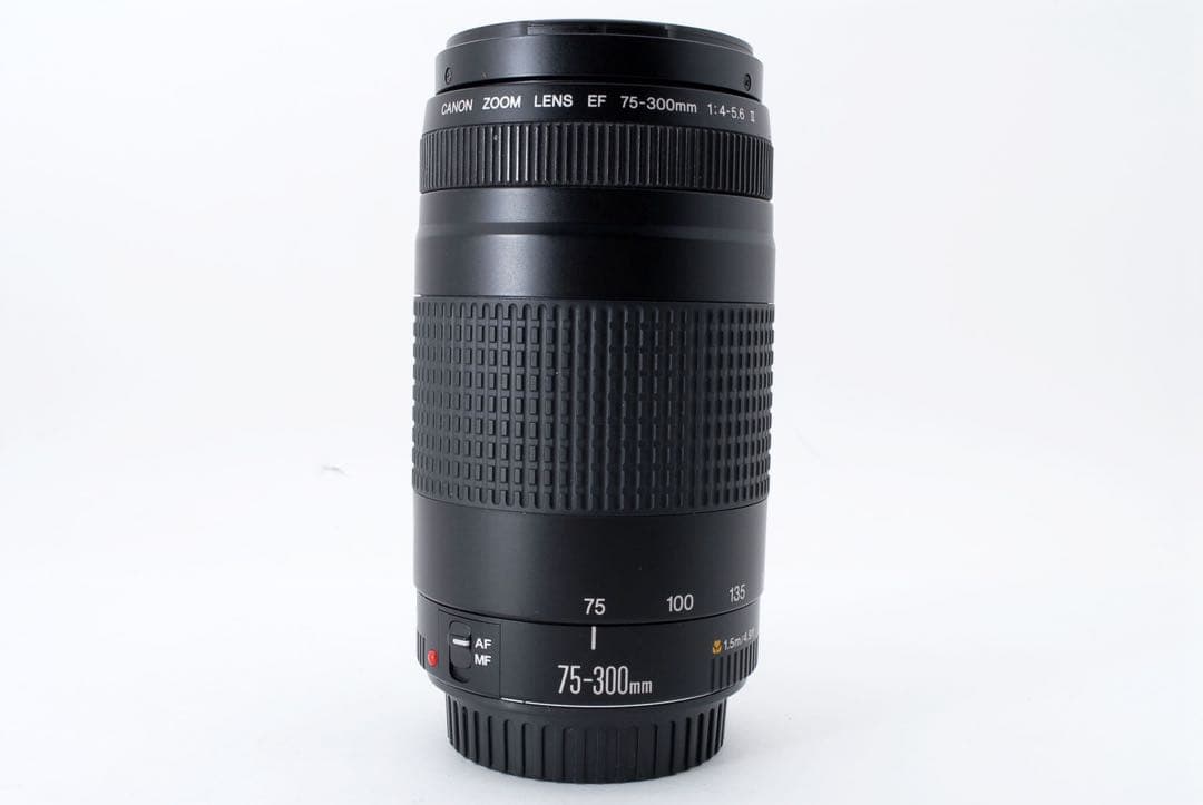デジタル一眼レフカメラ　望遠レンズCanon EF75-300㎜