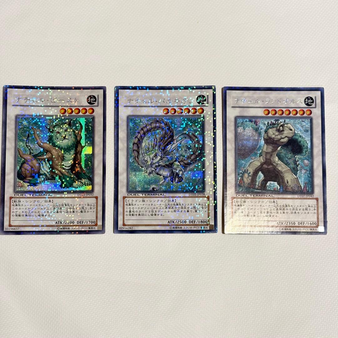 遊戯王　ナチュルパルキオン　ビースト　　シークレットレア3枚　DTC版