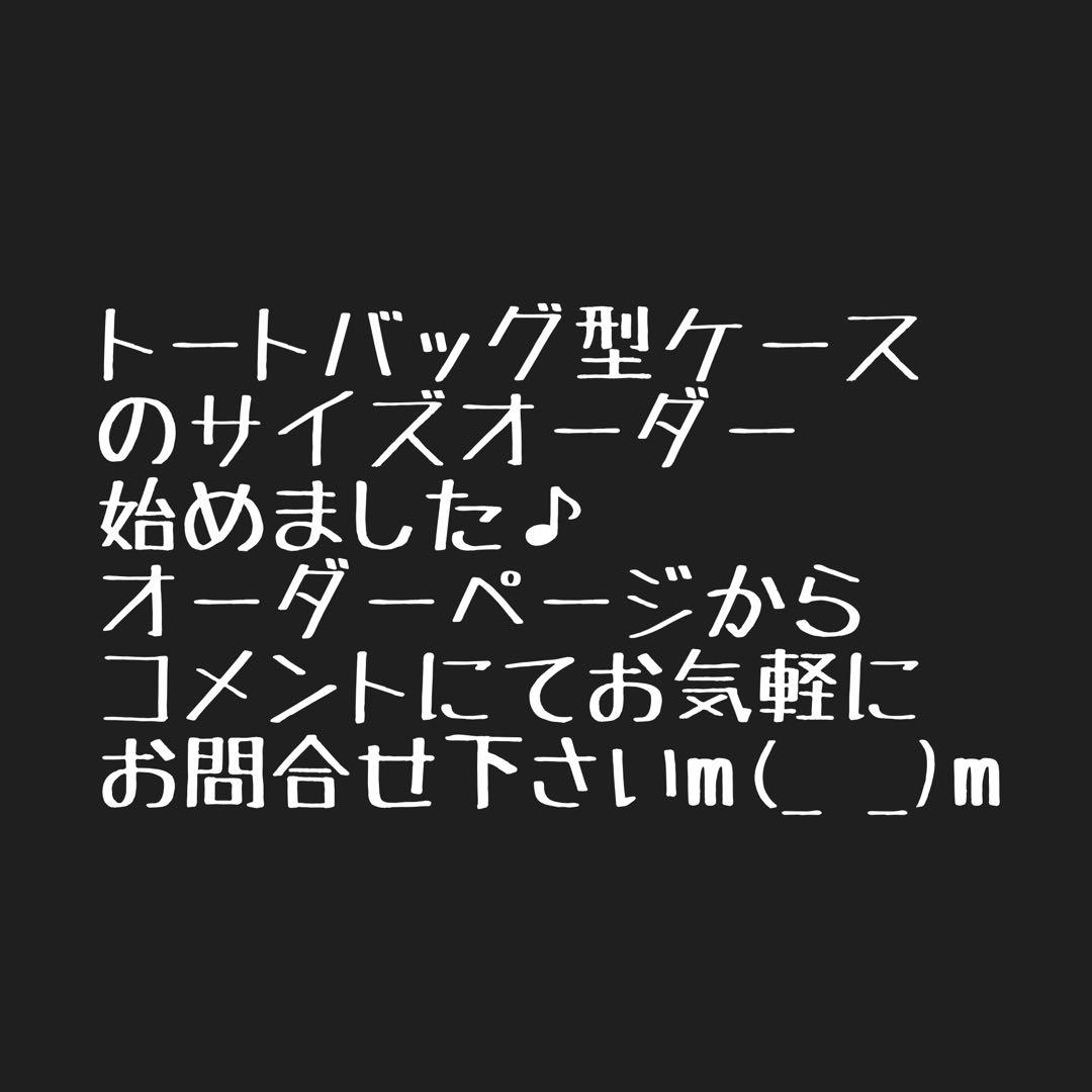 exTENsion_no_SITA＋SBS KIT用バッグ& よこにょい用ケース