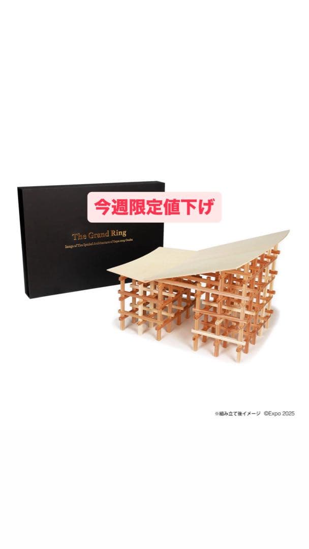 【今週限定価格】大屋根リング工作 The Grand Ring 木製工作キット