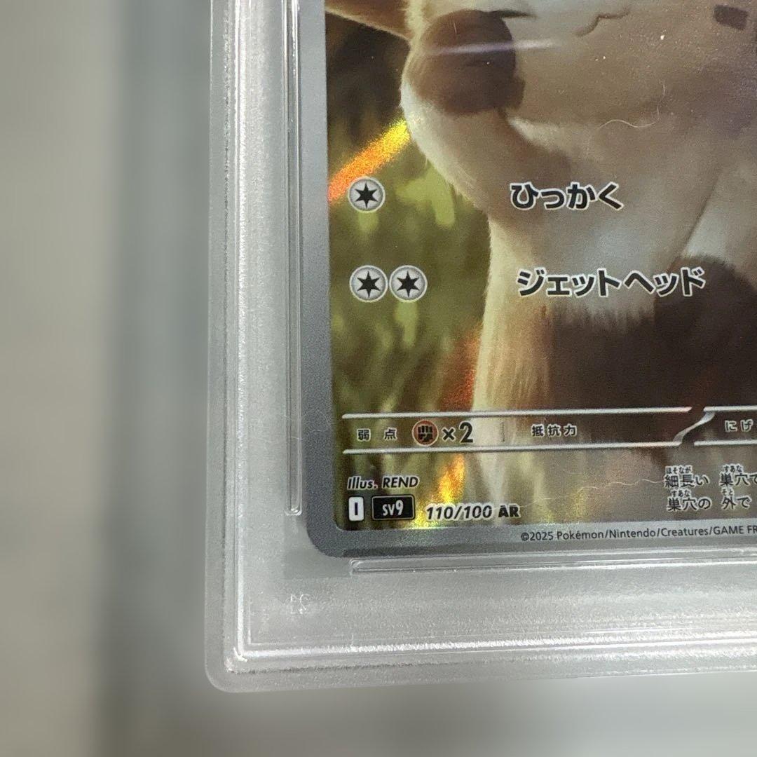 AR オオタチ PSA10