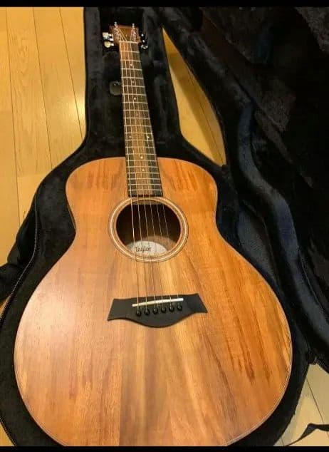 美品 Taylor GS Mini-e Koa ＆ SKB ケース