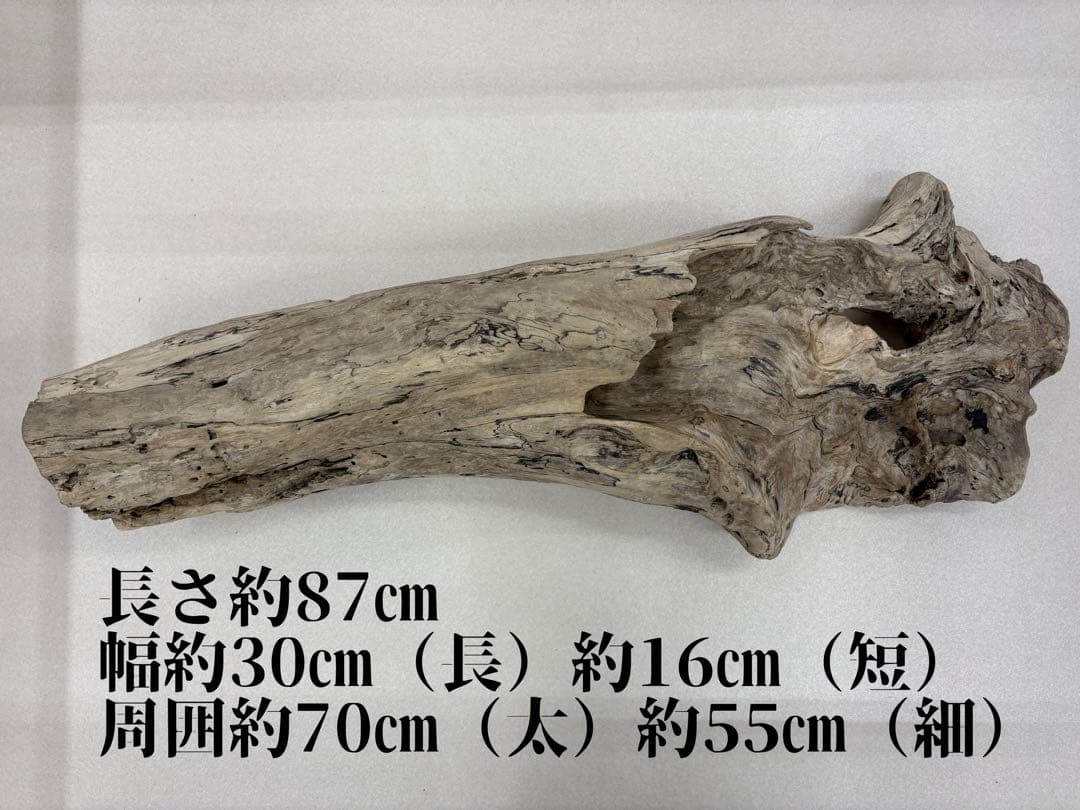 流木 特大