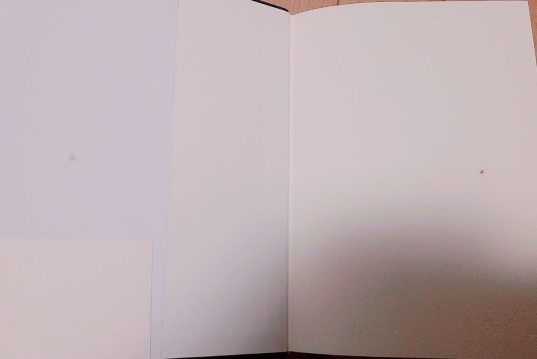 救済の星