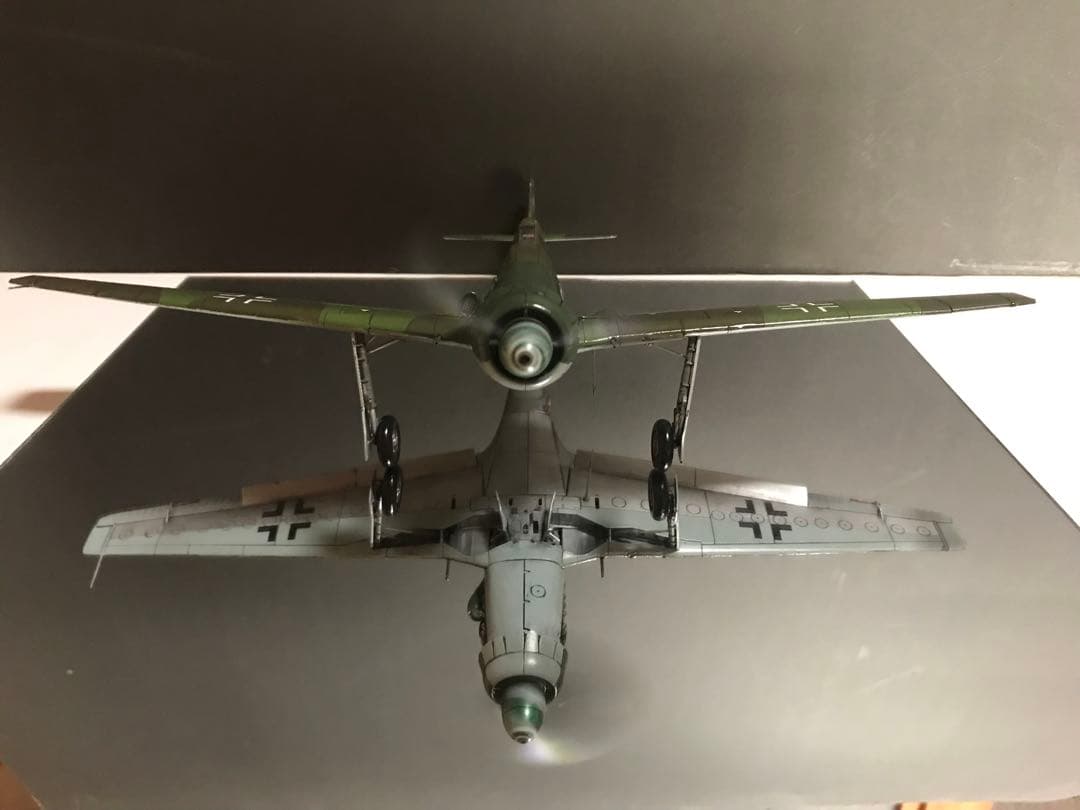 ウォッケウルフTa152H-1