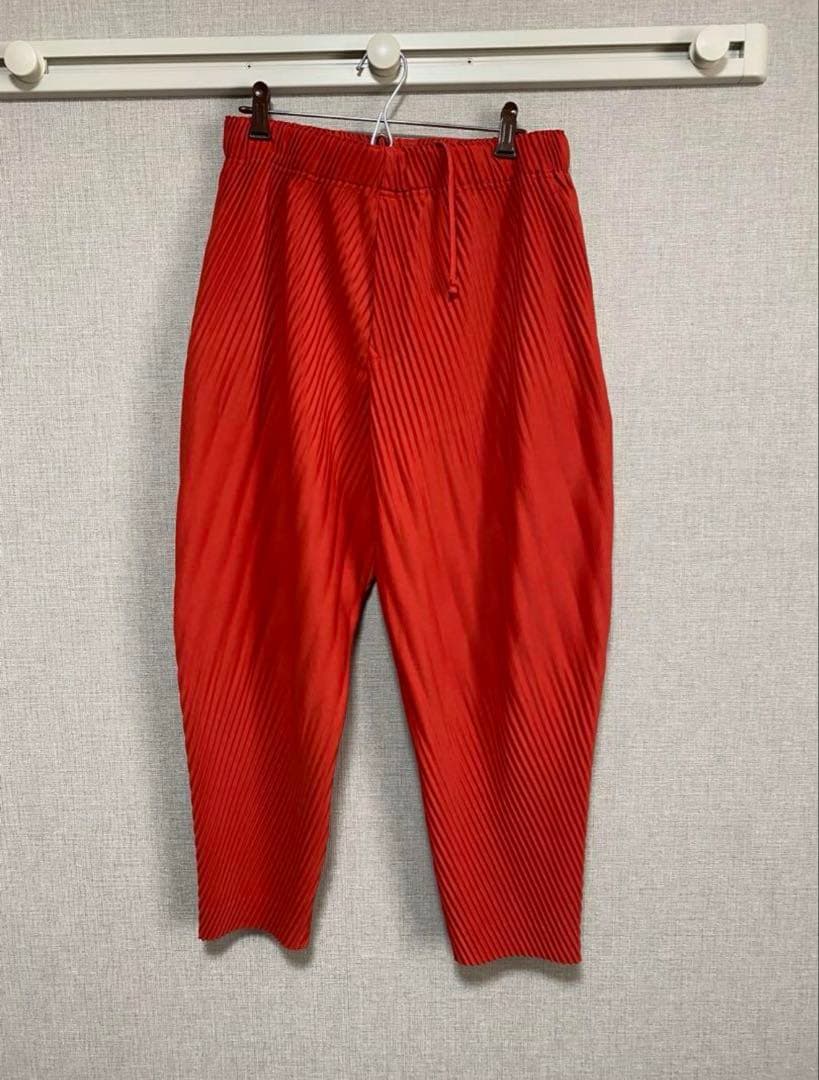 HOMME PLISSE ISSEY MIYAKE 消しプリーツ 2