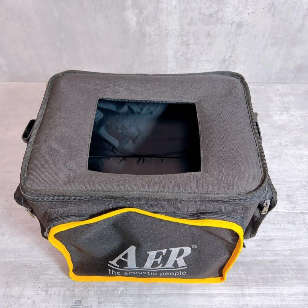 【稀少】【動作品】AER Bingo2 アコースティックアンプ