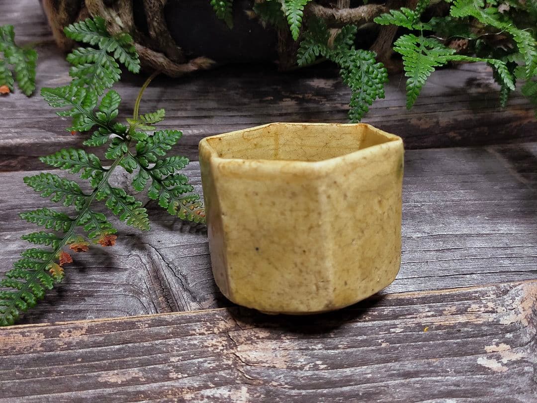 ♥黄瀬戸　ぐい呑み　桐箱付き　③　ぐい飲み　骨董品