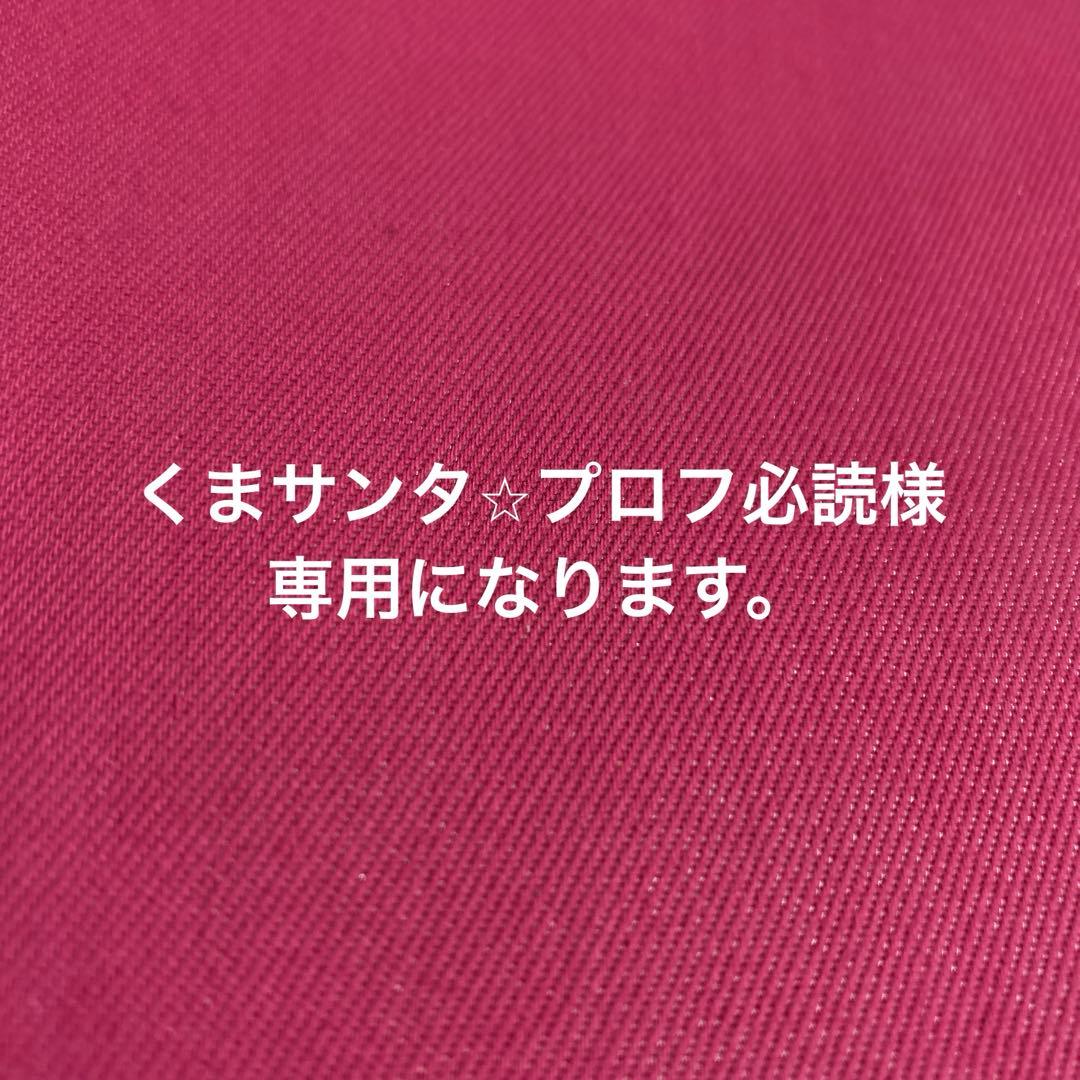 くまサンタ⭐︎プロフ必読になります。