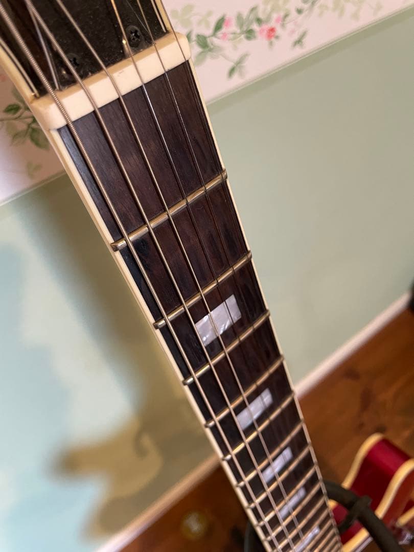 Sire Larry Carlton H7【13.14日限定値下げ】