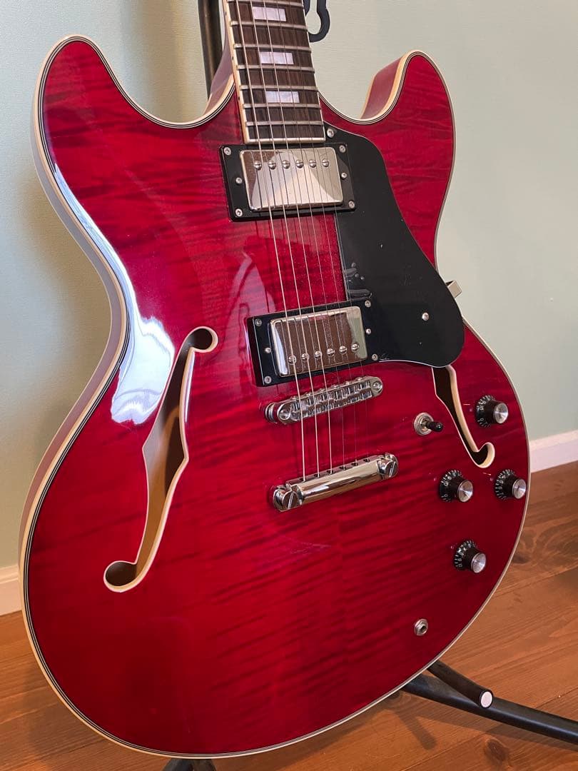 Sire Larry Carlton H7【13.14日限定値下げ】