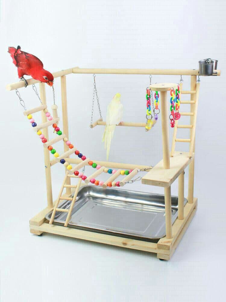 中小型. オウム遊園地 訓練する. 着地棚のおもちゃ.9