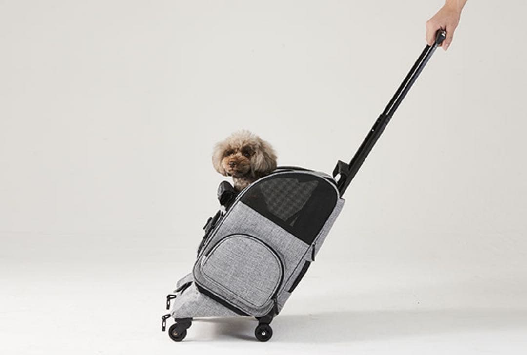 AirBuggy for Pet Fitt グレー