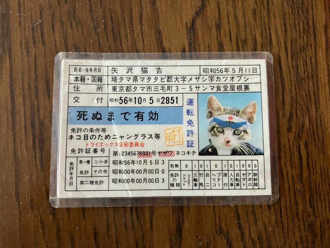 懐かし！なめ猫　カード