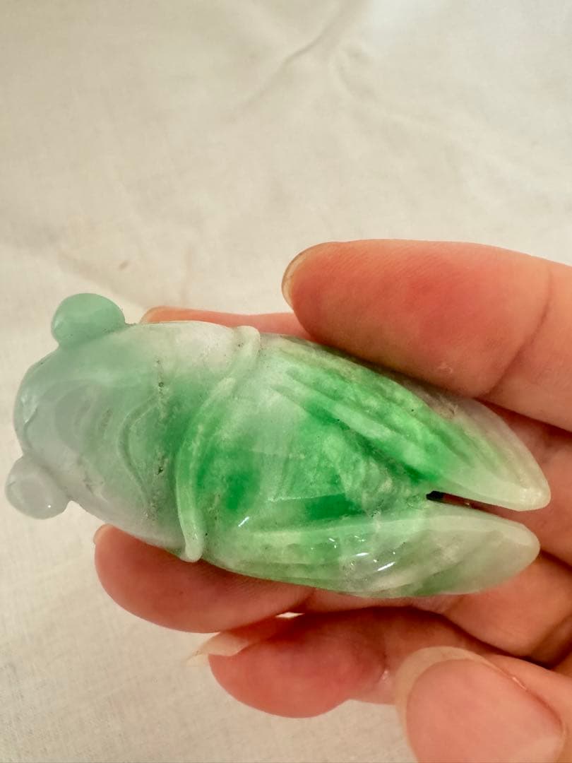 翡翠トップ 蝉