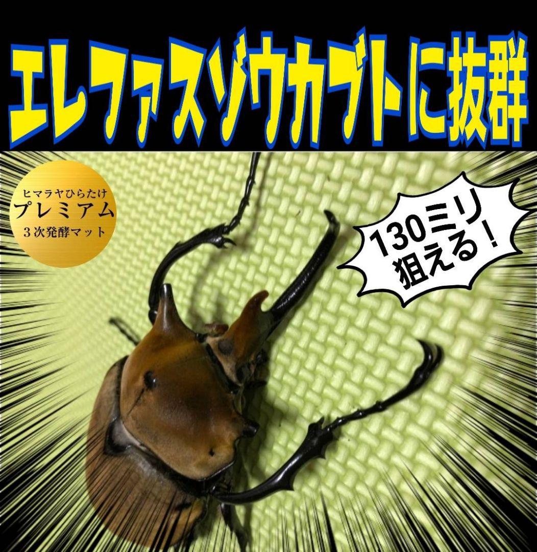 極上！カブトムシ幼虫の餌・産卵に！プレミアム3次発酵マット【たっぷり6袋セット】