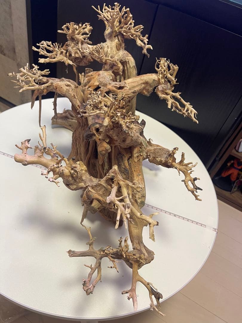 盆栽流木