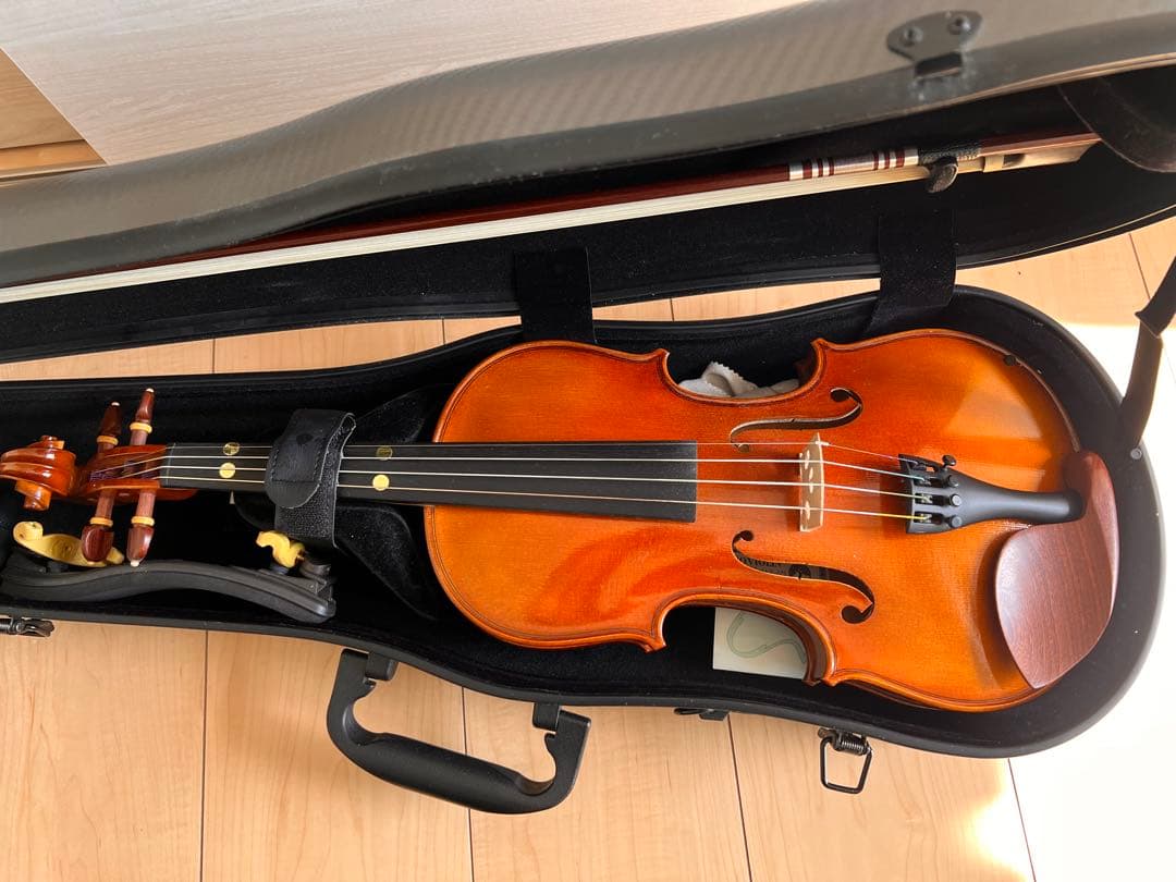 Pyroviolin 4/4バイオリン本体Gewaケース付き