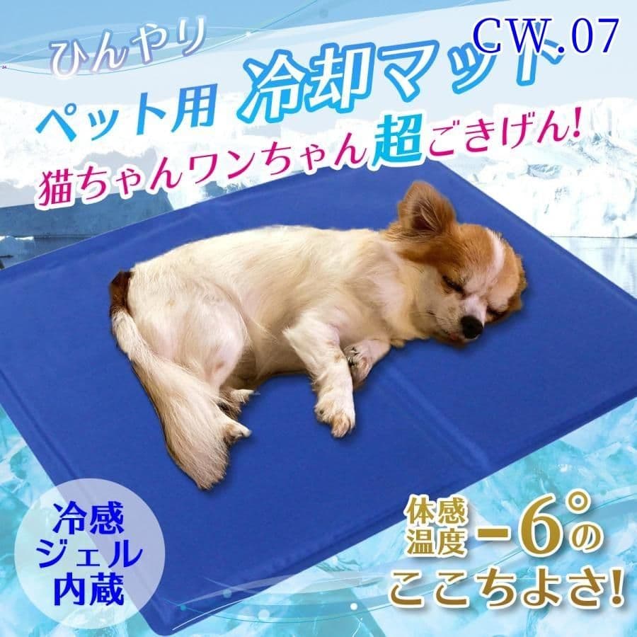 Aさん専用