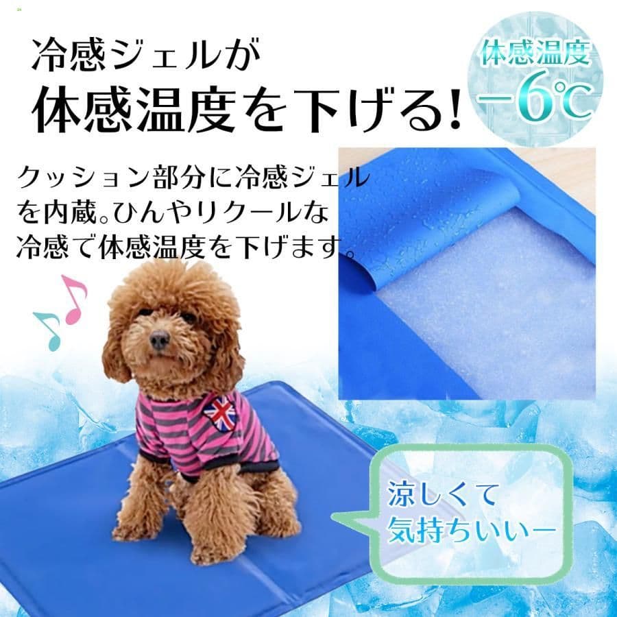 Aさん専用