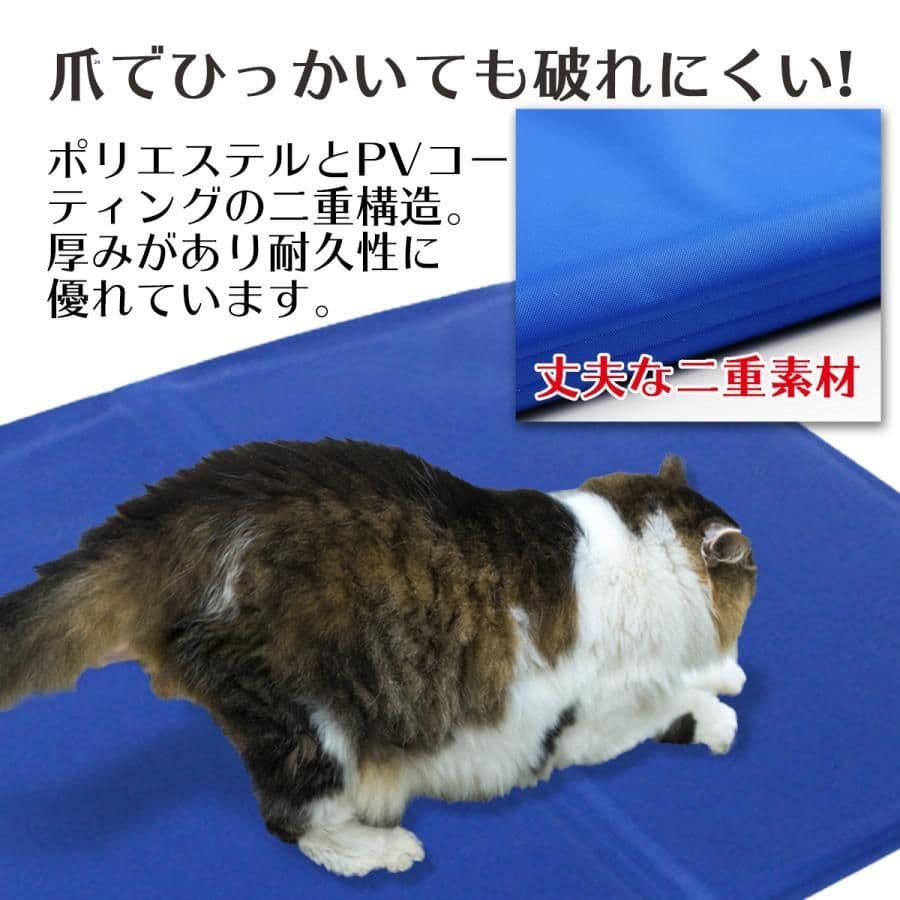 Aさん専用