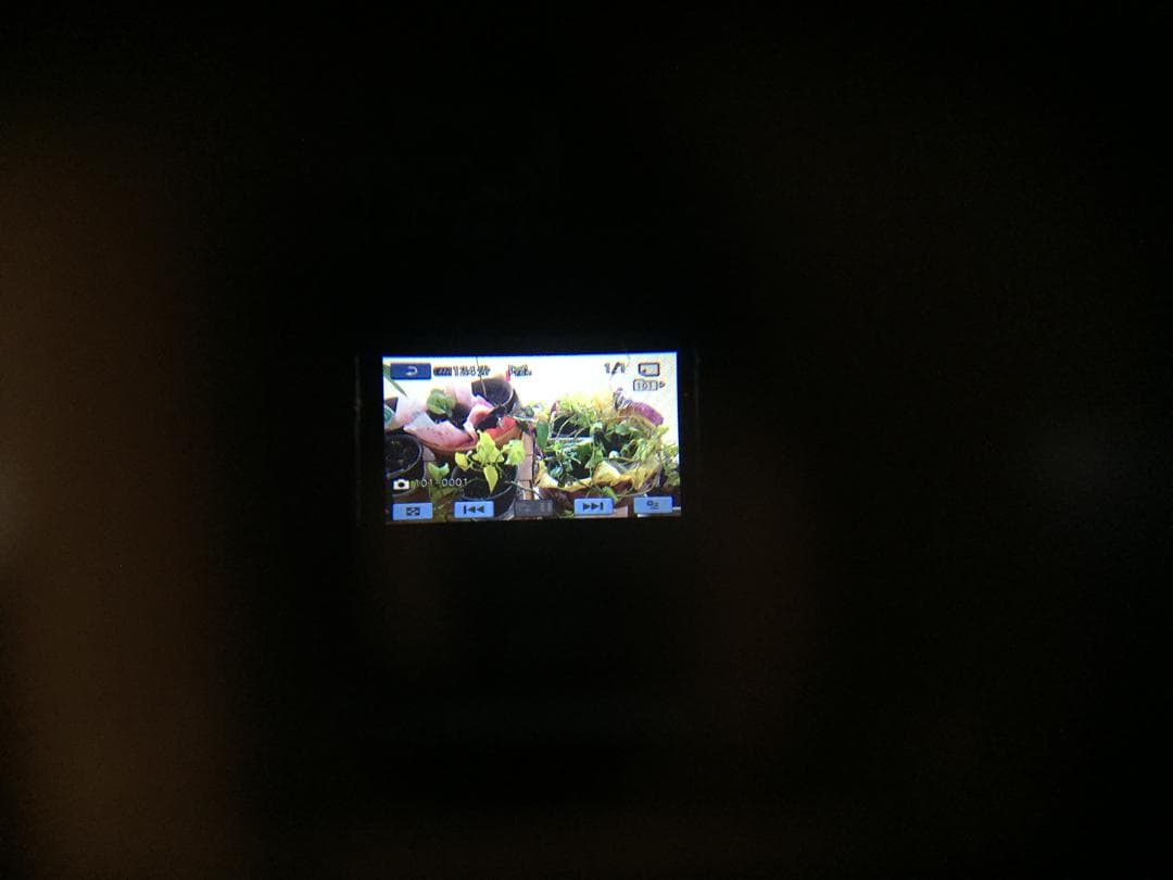 撮影画像あり 動作良好　SONY　HDR-SR11　付属品あり　FULLHD
