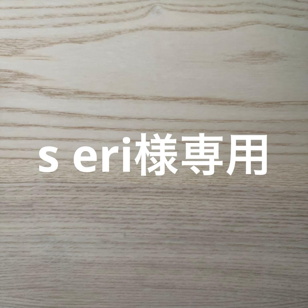 その他 s eri