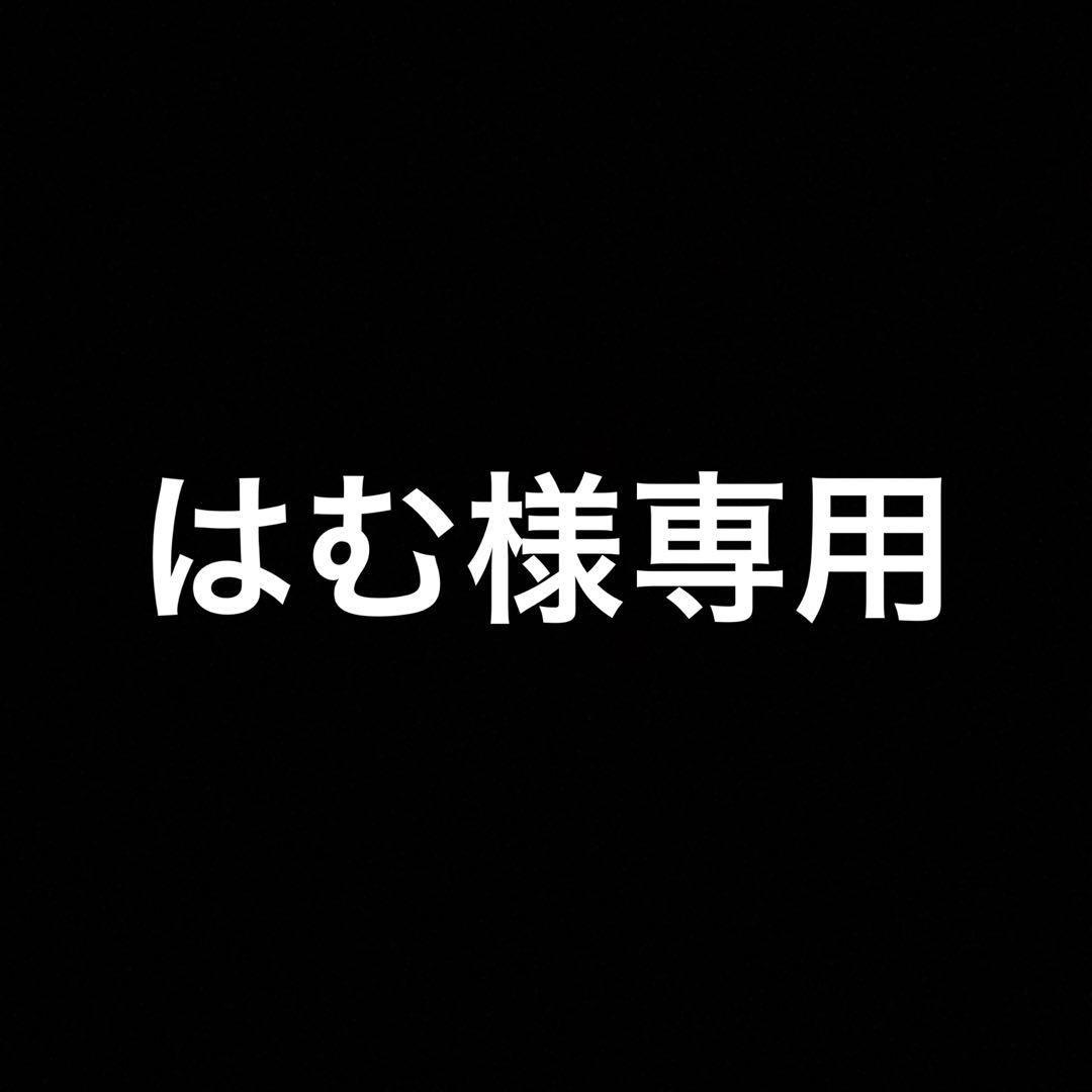 はむ　Apple iPhone 14 Pro