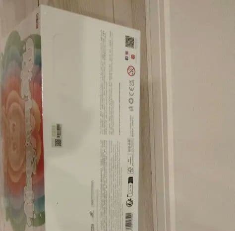ラブブ　Big into Energy シュリンク付き　アソートボックス　正規品