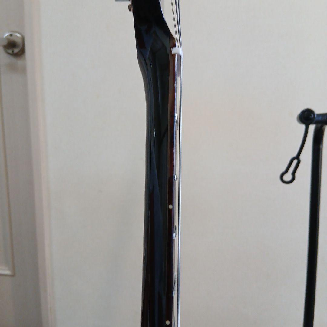 FERNANDES THE FUNCTION エレキギター