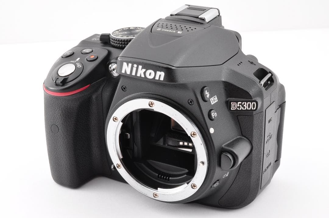 Nikon D5300 デジタルカメラ シャッター数 2869(3%)#FI13
